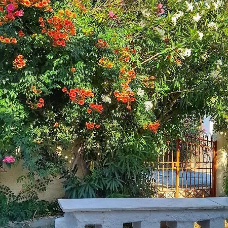 Euphoria House Tatil Evi *
