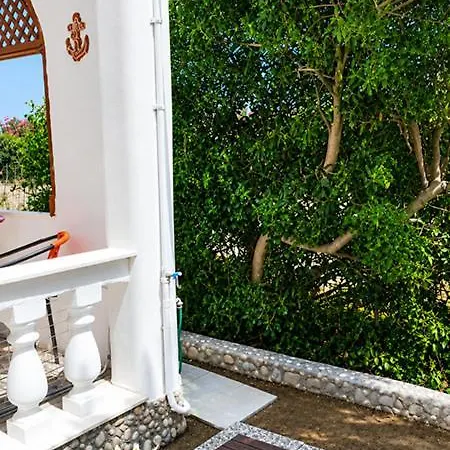 Euphoria House Tatil Evi *